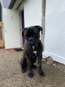 Buster